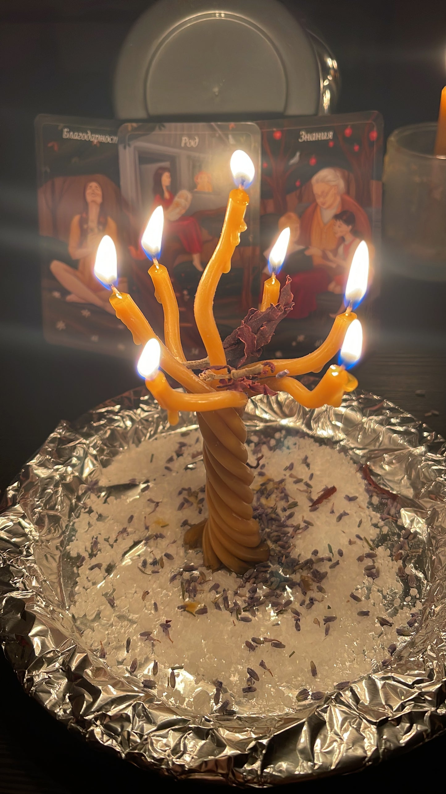 🌑 Ritual: Rückführung in die Ahnenlinie  „Das Erwachen der Blutlinie“