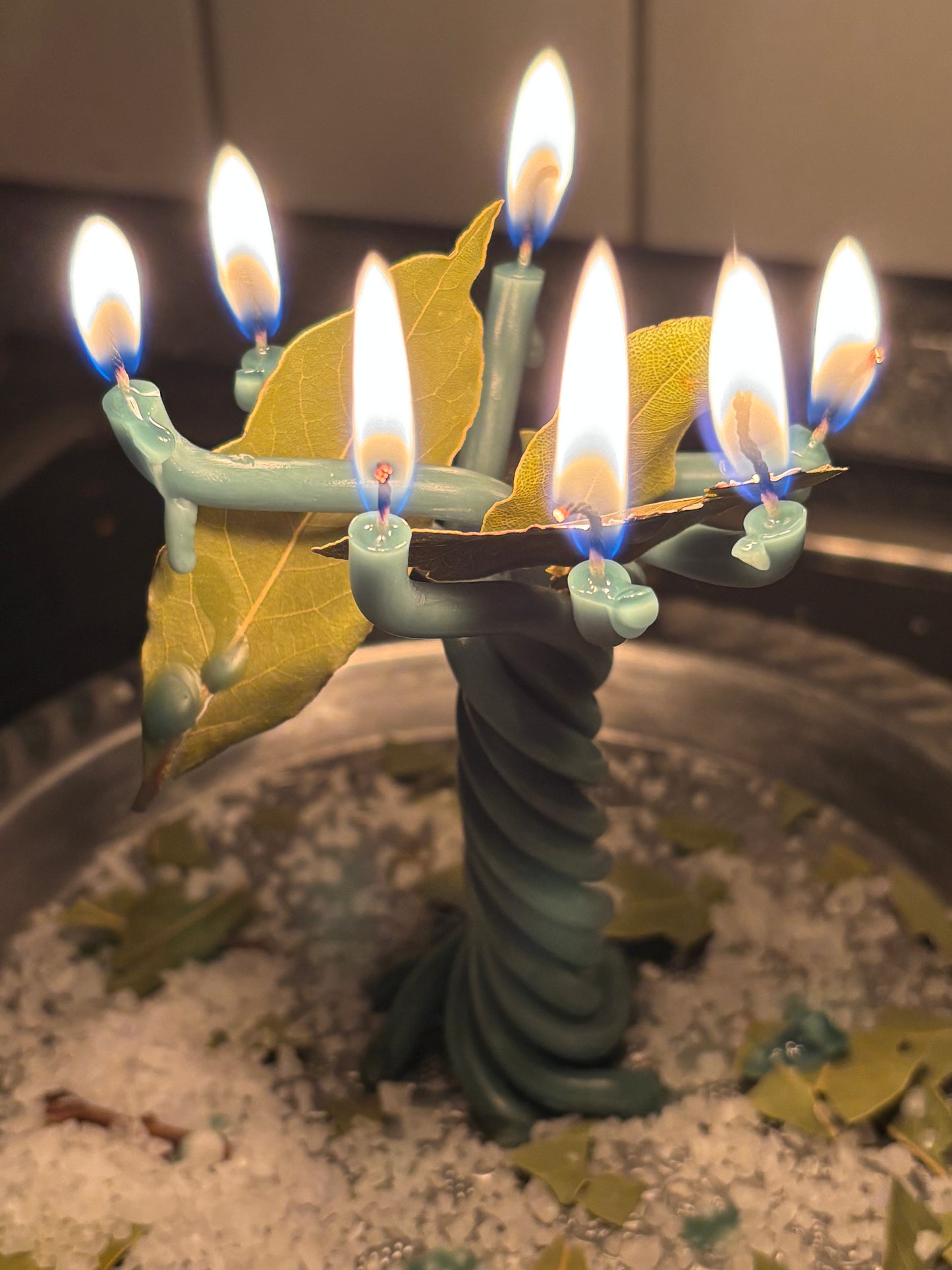 Geldbaum Ritual – Aktivierung von finanzieller Fülle